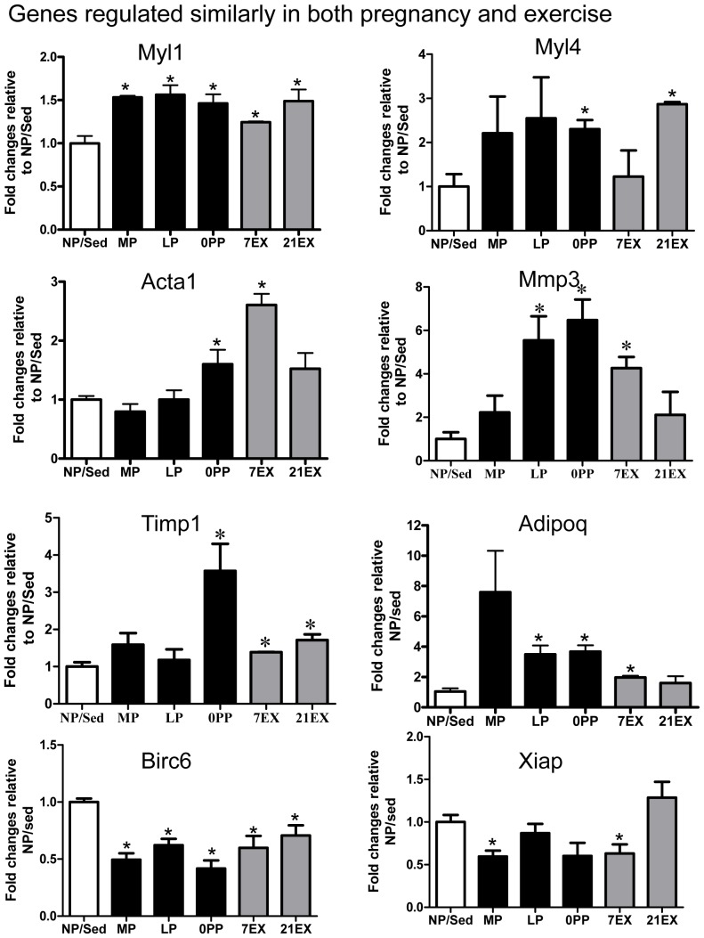 Figure 6