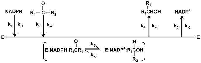 Scheme 2