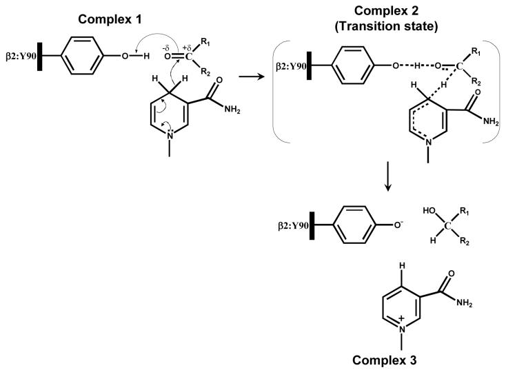 Scheme 3