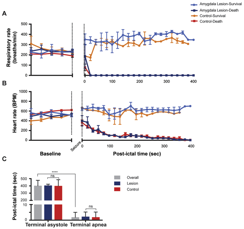 Figure 4 -