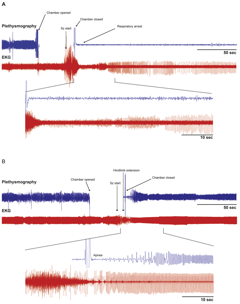 Figure 3 -