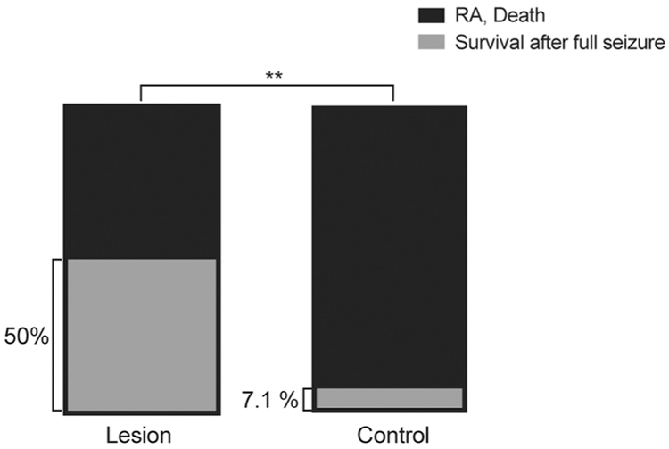 Figure 2 -