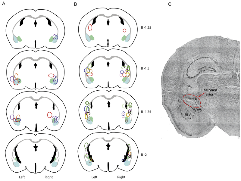 Figure 5-