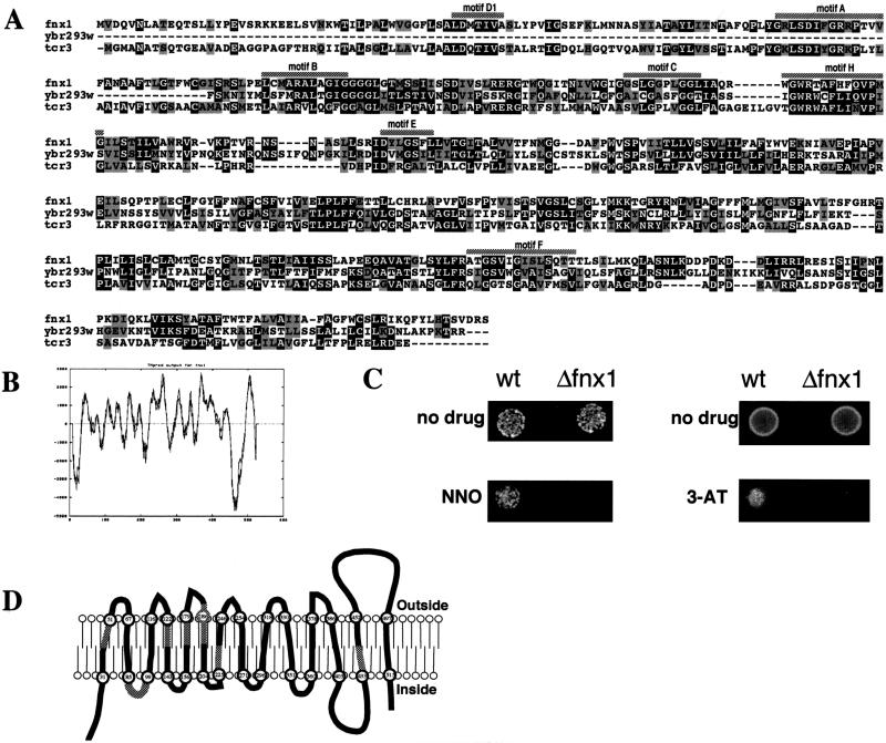 FIG. 4