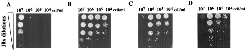 FIG. 5