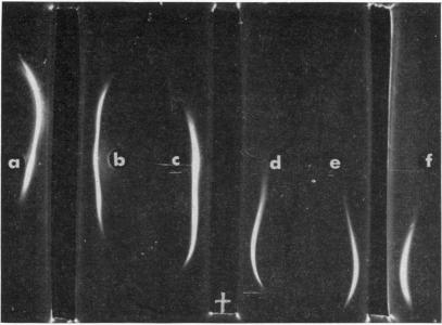 FIG. 7