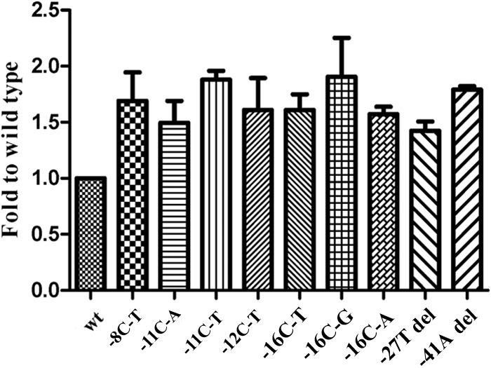 FIG 5