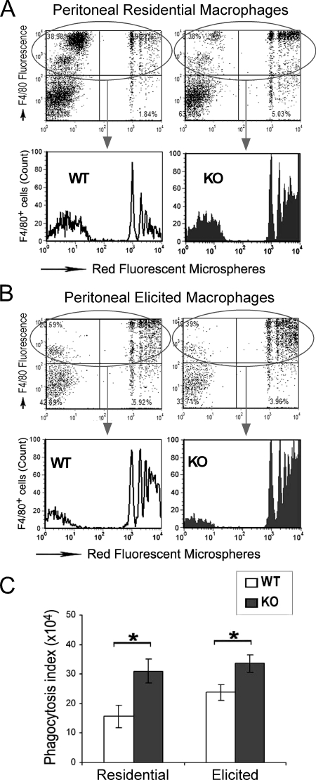 FIGURE 10.