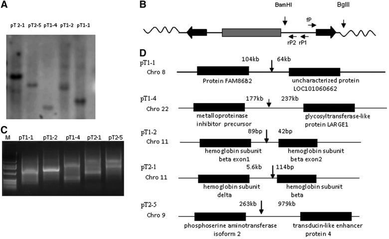 FIG. 2.