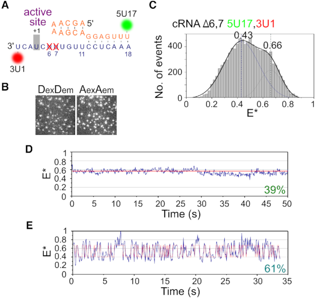 Figure 6.