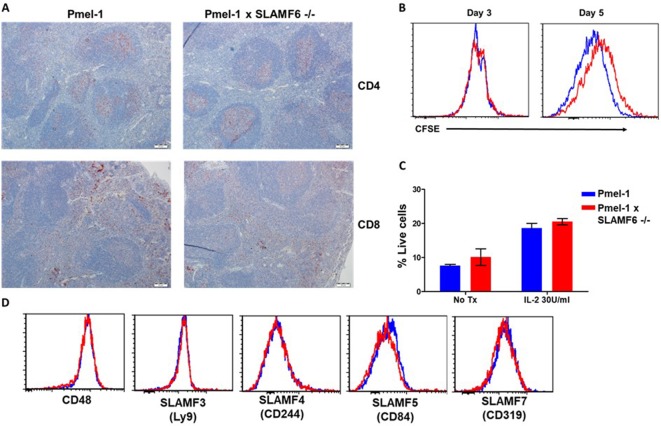 Figure 3—figure supplement 1.