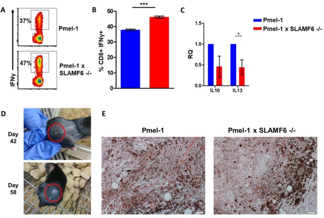 Figure 4—figure supplement 1.