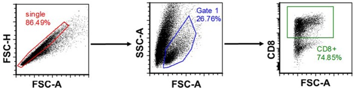 Figure 2—figure supplement 1.