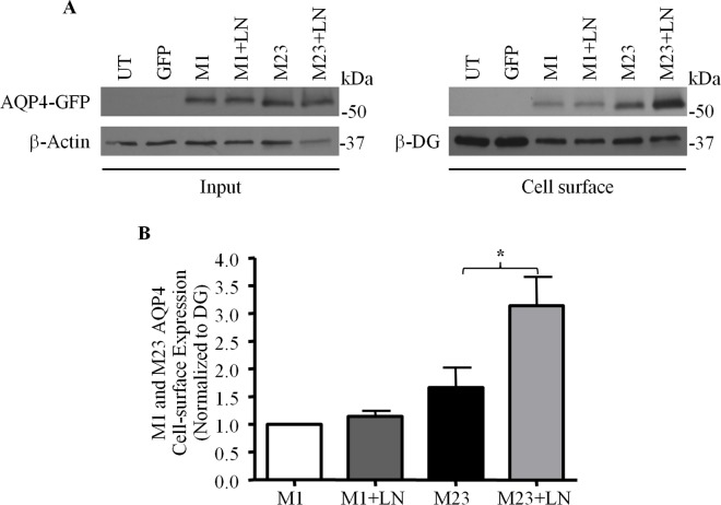 Fig 10