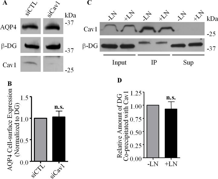 Fig 8