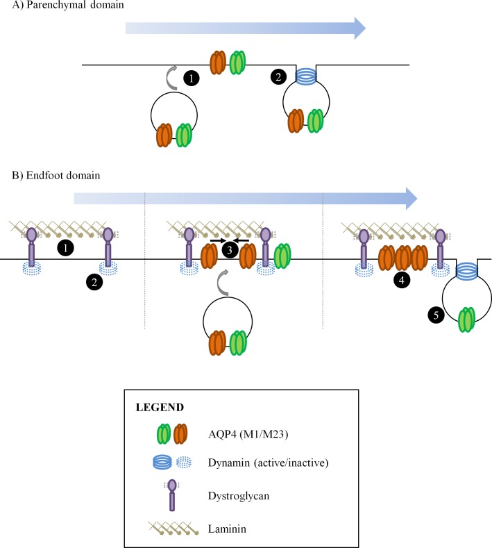 Fig 11