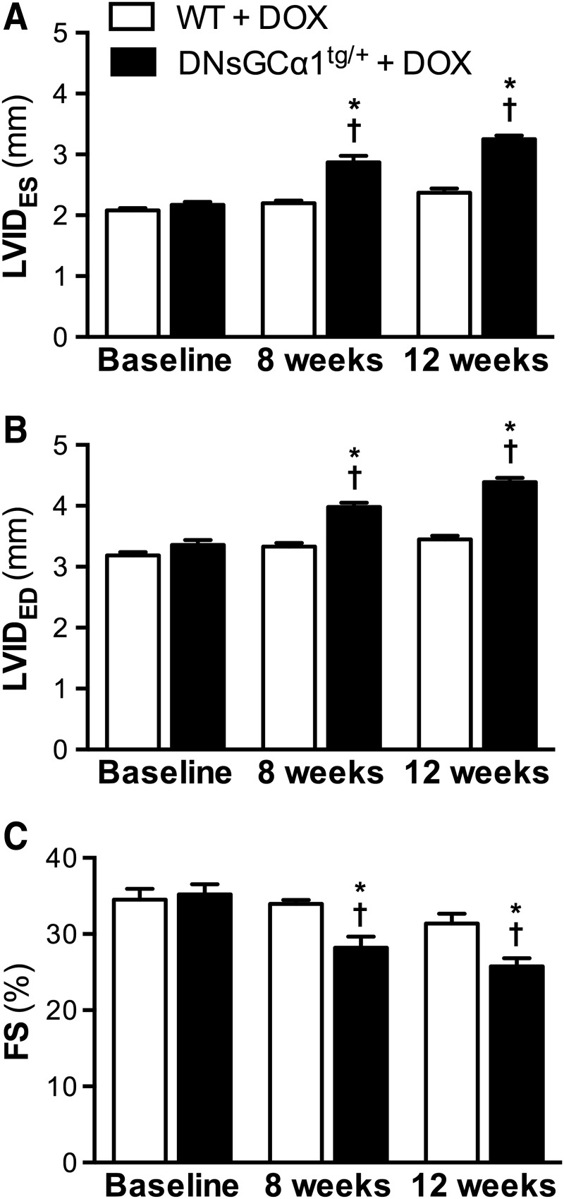 FIG. 3.