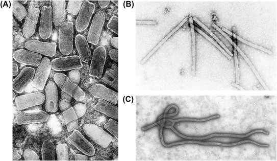 Figure 2.5