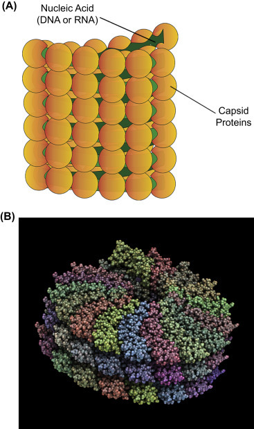 Figure 2.4