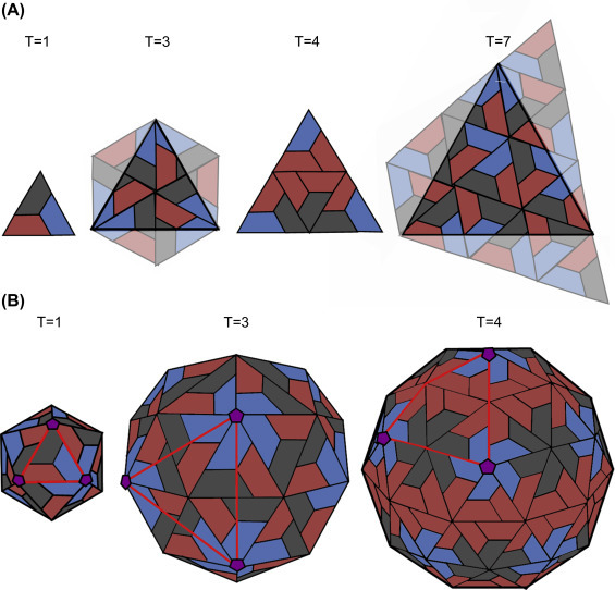 Figure 2.8