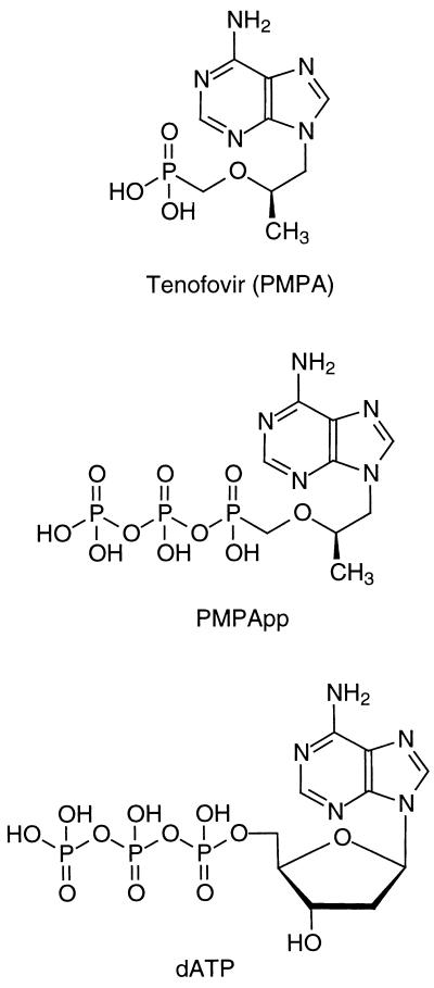 FIG. 1.