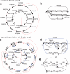 FIG. 3.