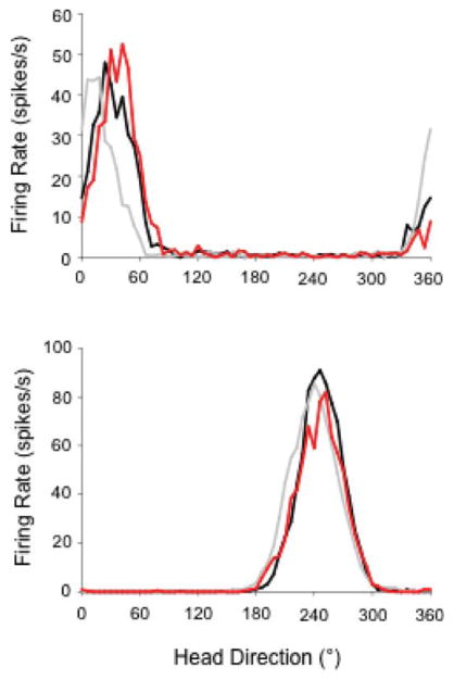 FIGURE 11