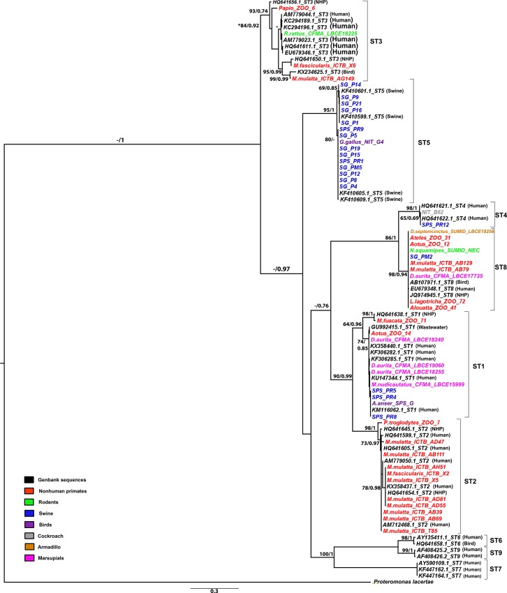 Fig 2