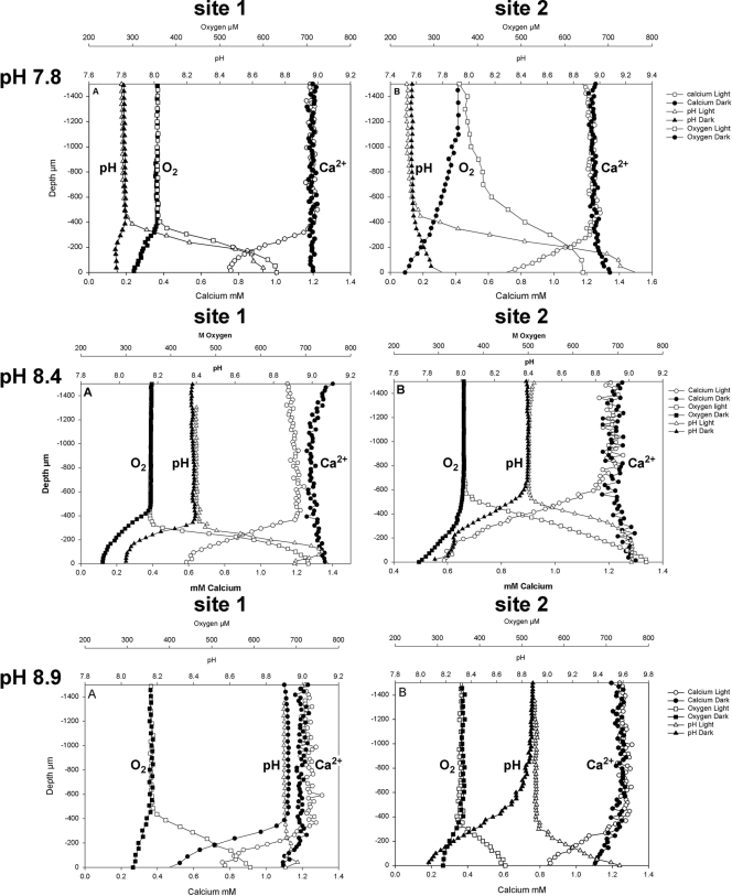 FIG. 1.