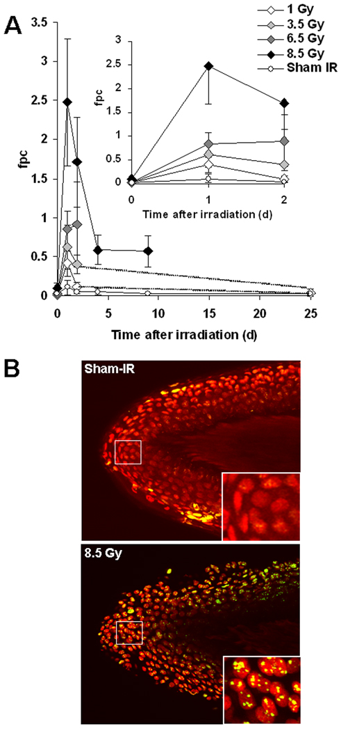 Fig.4