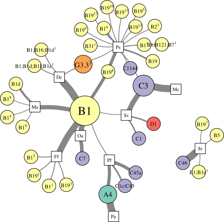 Using high-throughput sequencing of ITS2 to describe Symbiodinium ...