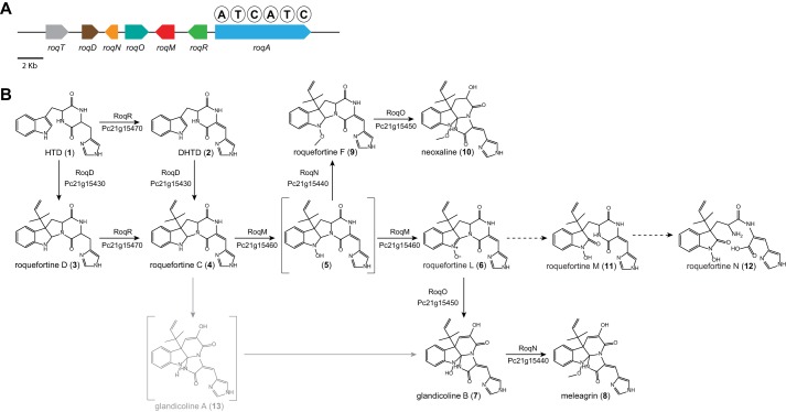 FIGURE 1.