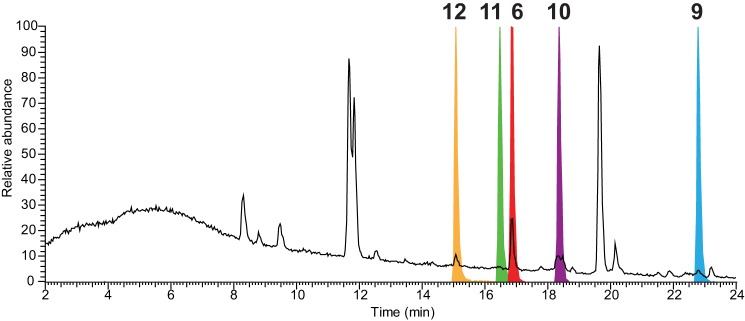 FIGURE 2.