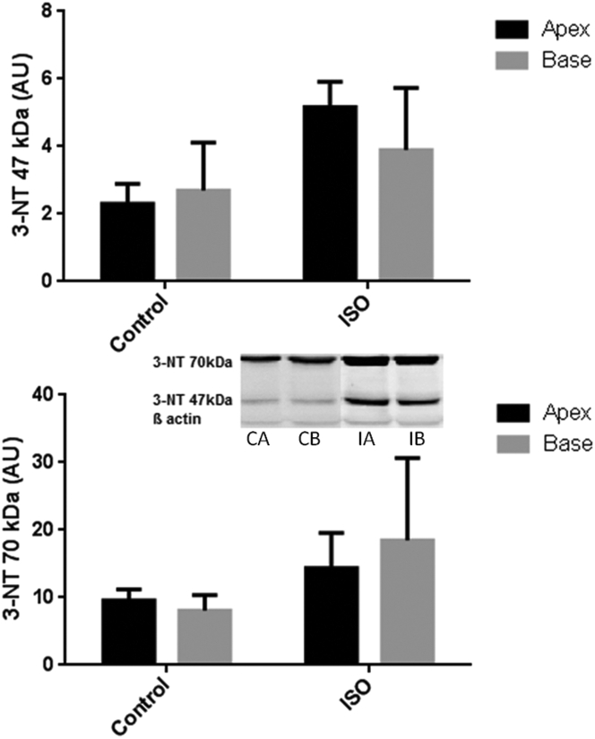 Figure 5