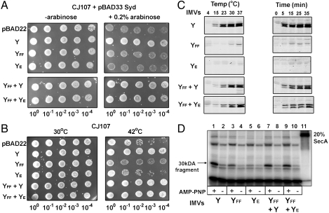 Fig. 6.