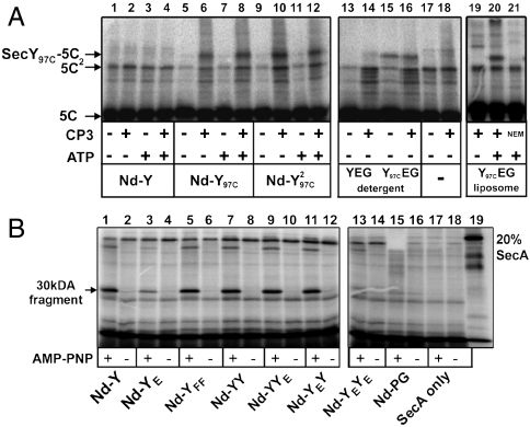 Fig. 4.