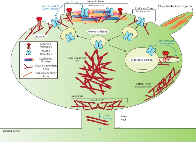 FIGURE 1.