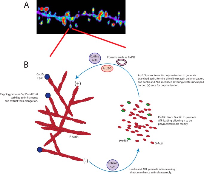 FIGURE 2.