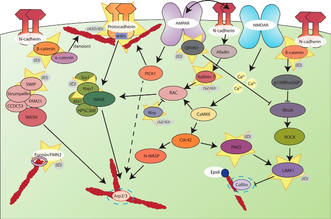 FIGURE 3.