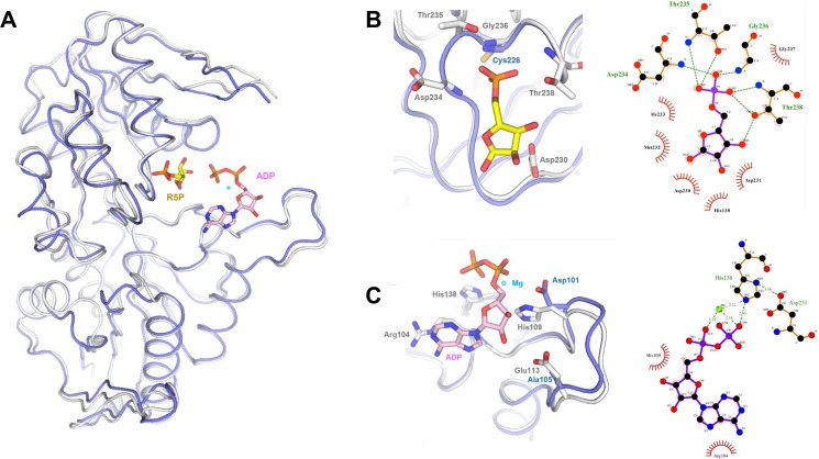 Fig 9