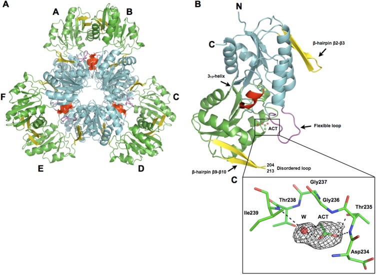 Fig 6