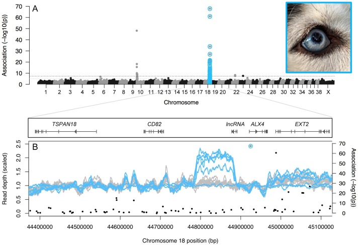 Fig 1