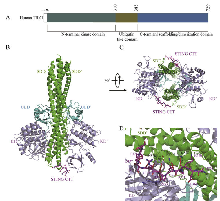 Figure 4