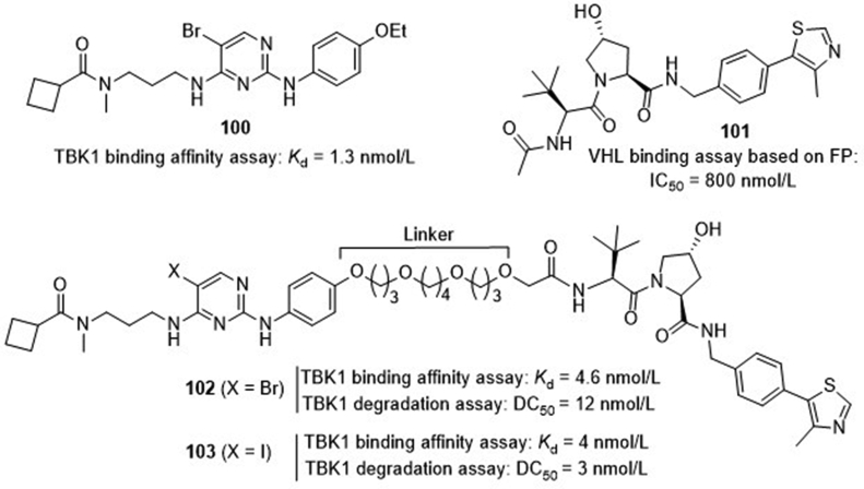 Figure 24