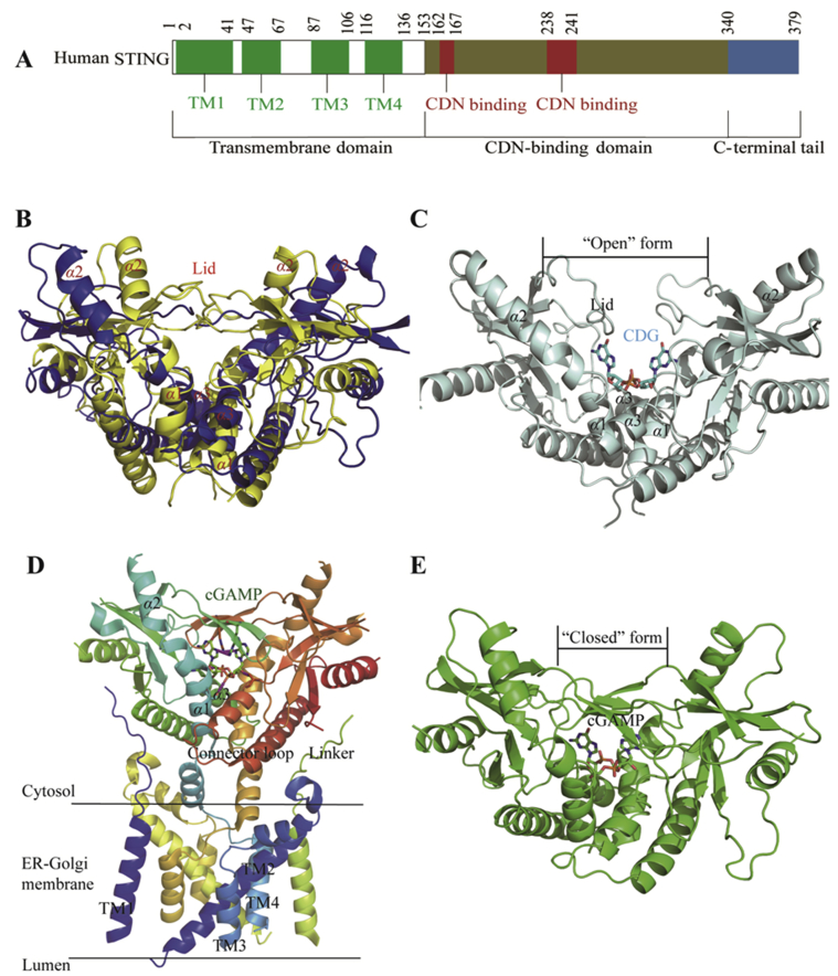 Figure 3