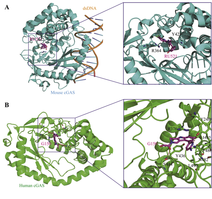 Figure 17