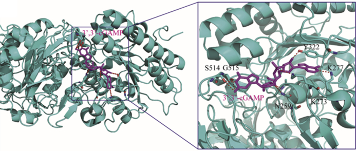 Figure 26