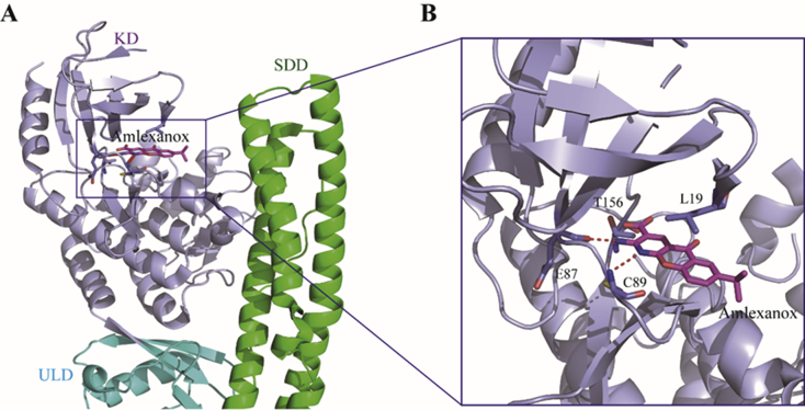 Figure 23