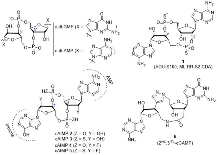 Figure 6