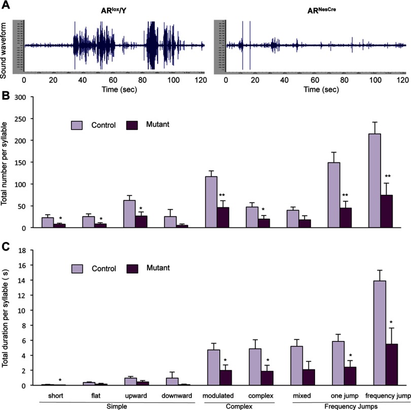 Figure 7A illustrates two sound waveforms (y-axis) for AR super lox virgule Y and AR super NesCre during exposure of a sexually receptive female. Figure 7B is a bar graph with standard errors of mean plotting total number (y-axis) of short, flat, upward, and downward (simple group); modulated and complex (complex group); and mixed, one jump, and frequency jump (frequency jump group) syllables (x-axis) for the controls and mutants. Figure 7C is a bar graph with standard errors of mean plotting total duration (y-axis) of short, flat, upward, and downward (simple group); modulated and complex (complex group); and mixed, one jump, and frequency jump (frequency jump group) syllables (x-axis) for control and mutants.